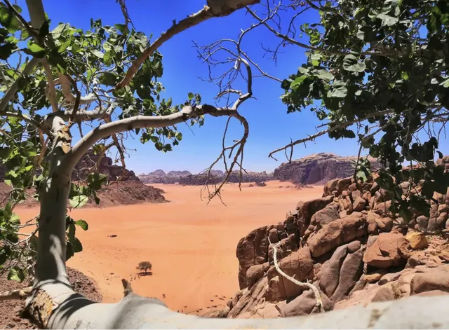 Four-hour morning jeep tour – Desert Dreams