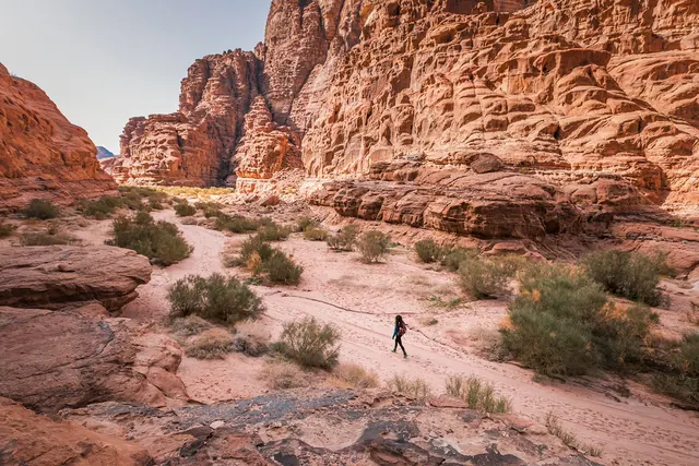 Jordan Trail 803 · Shakriya To Wadi Rum Village