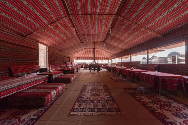 Full-day camel tour with overnight camp – Nature Tours