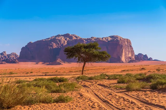 Jabal Al Hash hike and overnight – Nature Tours