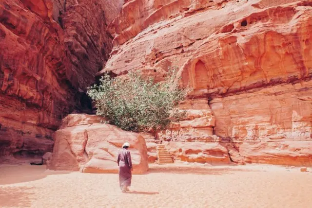 Full-day Red Desert jeep tour – Arabian Nights