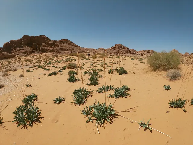 Umm Ad Dami full-day hiking experience – Desert Dreams