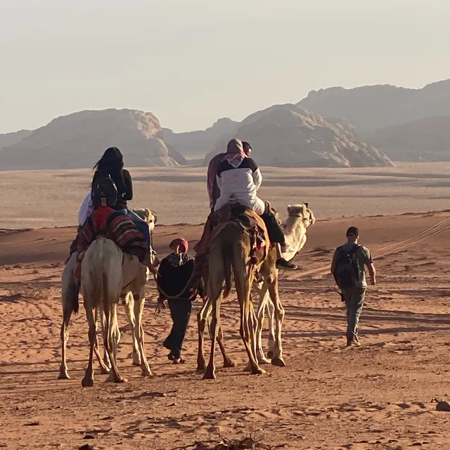 Guided camel ride – Desert Dreams