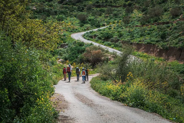 Jordan Trail 303 · Husban To Oyoun Al-Theeb