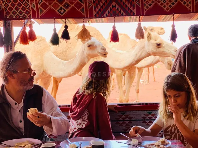 Traditional Bedouin camp stay – Desert Dreams