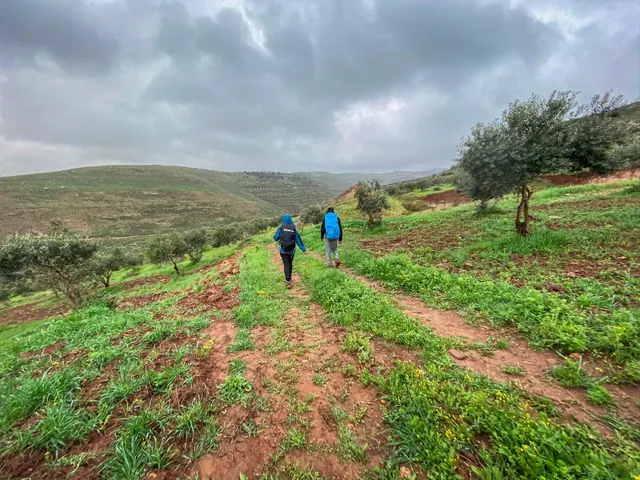 Jordan Trail 203 · King Talal Dam To Rmeimeen