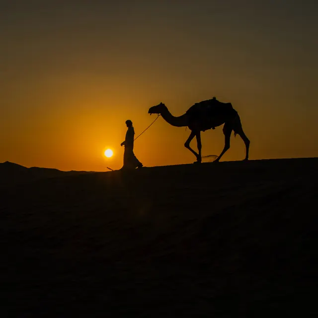 Guided camel ride – Desert Dreams