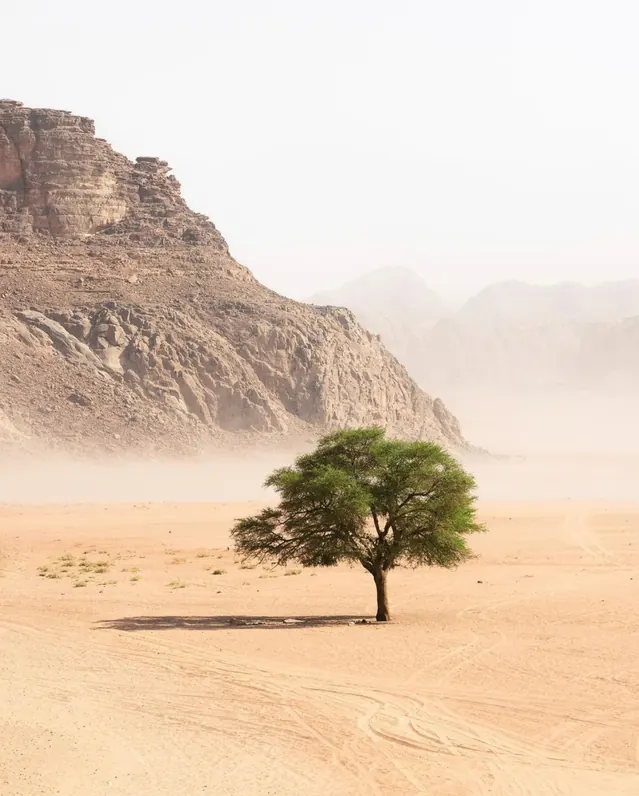 دورة تصوير الصحراء – دزرت دريمز