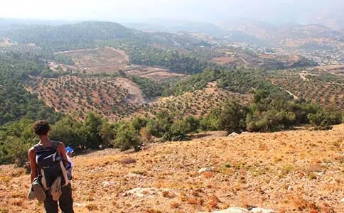 Jordan Trail 301-1 · Fuhais To Iraq Al-Amir