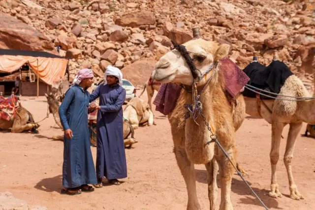 قافلة جمال لعدة أيام – أرابيان نايتس