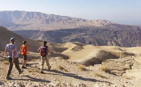 مسار درب الأردن 304: Oyoun Al-Theeb To Wadi Zarqa Ma’In