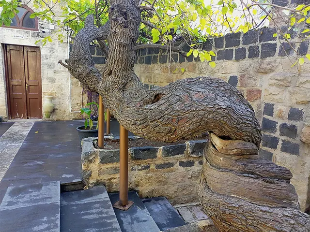 بيت عرار الثقافي