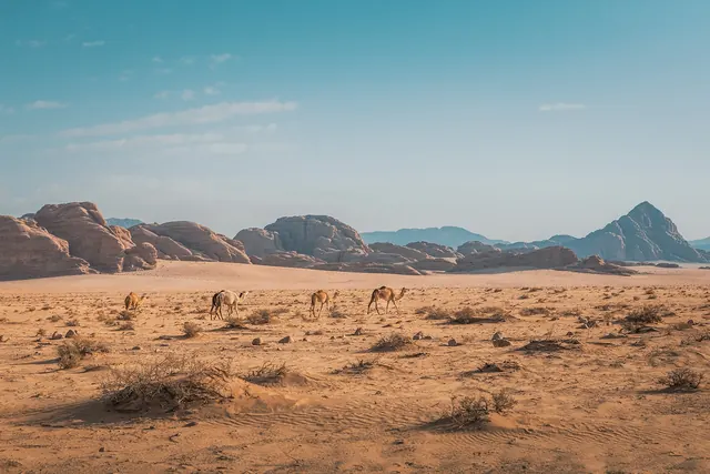 Jordan Trail 802 · Jabal Kharazeh To Shakriya