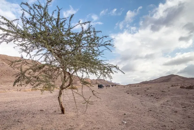 Jordan Trail 806 · Final Camp To Aqaba