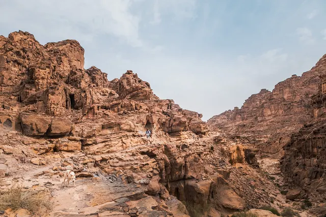 Jordan Trail 704 · Wadi Gseib To Wadi Aheimar